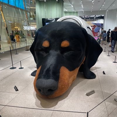 HBKm0h1's profile picture
