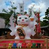河合敏徳's profile picture