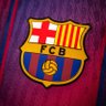 Javier Velรกzquez's profile picture