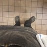 👨🏿🍳💨 profil fotoğrafı