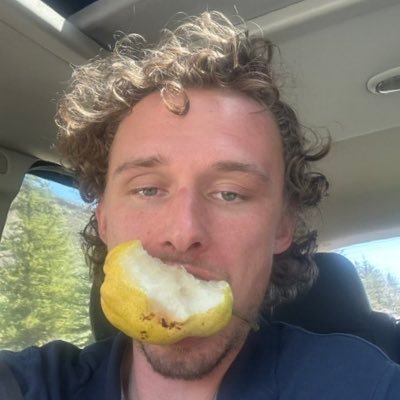 afieldofviolets's profile picture
