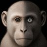 Nerhan's profile picture