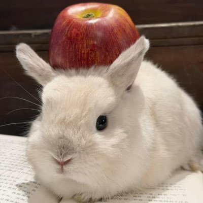 LMQUANMU's profile picture