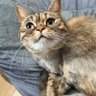 るーるー サブ's profile picture