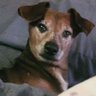 Kimmieebee's profile picture