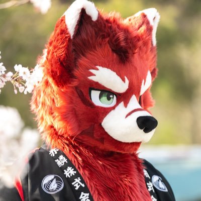 Chaoche0425's profile picture