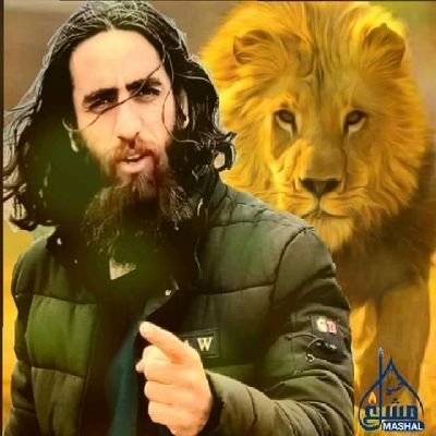 Sher Stanekzai's profile picture