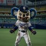ネットは怖いよね ドラファン profil fotoğrafı