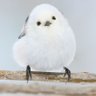 トッシー profil fotoğrafı