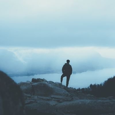 Frank's profile picture