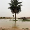 Profilbild von عـزيـزي