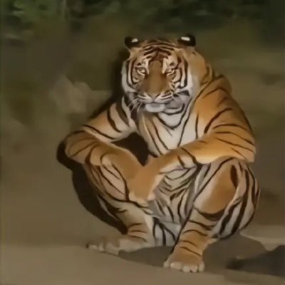 bb08988's profile picture