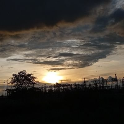 dylan_kilel's profile picture
