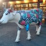 不気味だいふく's profile picture
