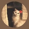gülce🦋's profile picture