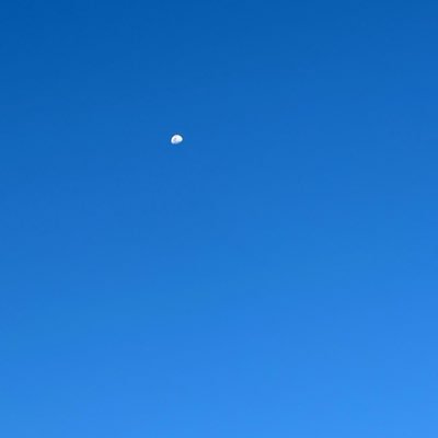 JBerrySu's profile picture