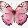 🍉 𝕄𝕒𝕣𝕔𝕖𝕝𝕝𝕖 🍉 profil fotoğrafı