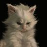 𝐯𝐦's profile picture