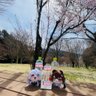 オリュンポス十二神の間に産まれた終末予言者の霊長類で唯一卵を産む乳酸菌飲料のゲーミングタルタルソース's profile picture