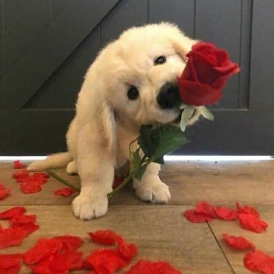 1995's profile picture