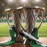 اهلاوي نخبوي🏆🏆 💚💚💚's profile picture