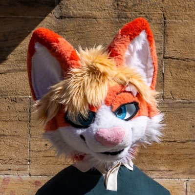 🇳🇱 Xavier 🐾's profile picture