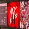 鯉党3363 的头像