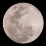 MOON 的头像