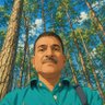 Pratap profil fotoğrafı