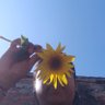 प्राकृत प्रेम_✨ profil fotoğrafı