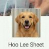 Profilbild von Dogfather