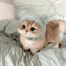 そらまめ profil fotoğrafı