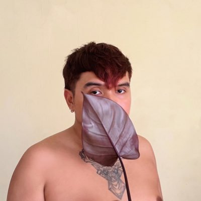 mvn_dn's profile picture