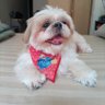Mimi 的头像