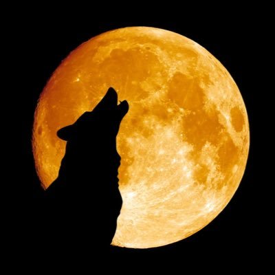 KxEJx97x's profile picture