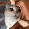 Liora profil fotoğrafı