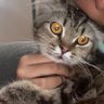luna 的头像