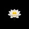 Lotus AI's profile picture