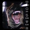 jhonwick's profile picture