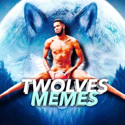 T-Wolves Memes | Ali's profile picture