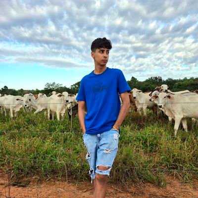 twarsexb's profile picture
