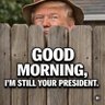 Фото профиля Conservative Texan