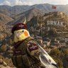 Фото профиля Commander-Lee