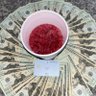 the unpopped percocet's profile picture