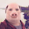 westy's profile picture