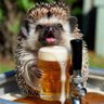 Random_Hunter's profile picture