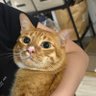Billi Millmi Bunny 的头像