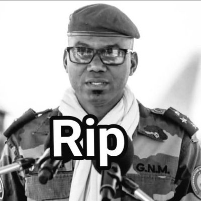 Mali Kura's profile picture