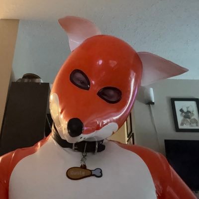 Sheen / Rusty / RoukiPup's profile picture