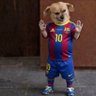 Vidal's profile picture